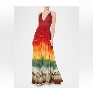 Alice and Olivia Multicolor Maxi Dress